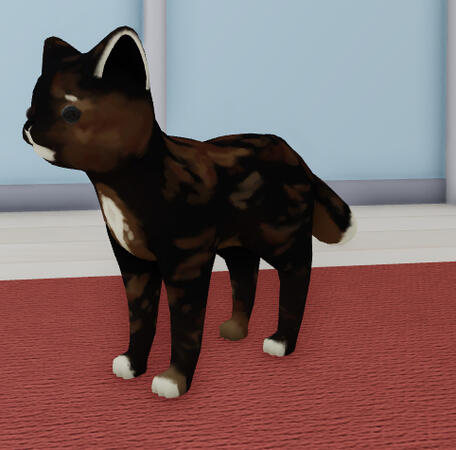 tortoiseshell