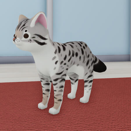 egyptian mau