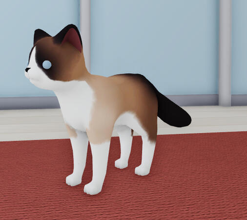 snowshoe