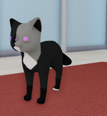 chimera