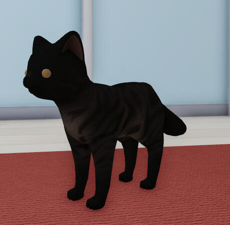 smoke tabby