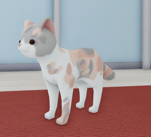 diluted calico
