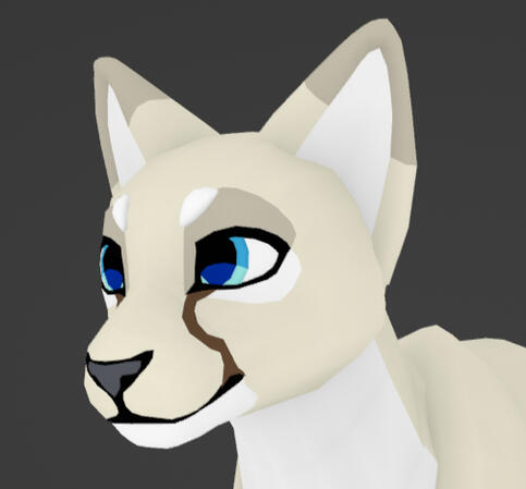 Cheetah markings